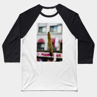 Cat tail seeding Baseball T-Shirt